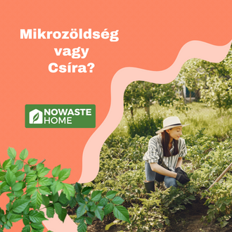 mikrozöldség vagy biocsíra?