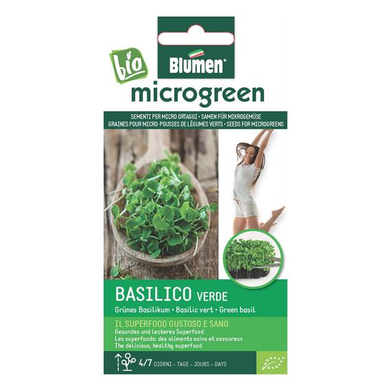 zold bazsalikom mikrozold salata